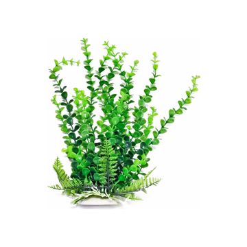 AQUATOPDBH34 Image 1
