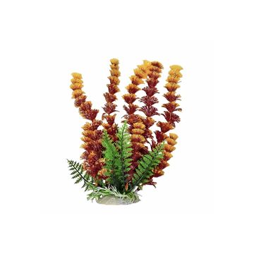 AQUATOPDBH43 Image 1