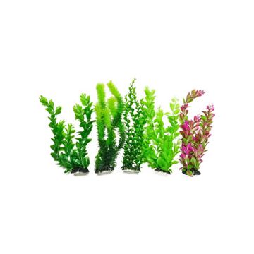 AQUATOPDMULTI13 Image 1