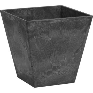 ARTSTO35068 Image 1