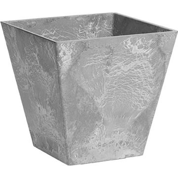 ARTSTO35100 Image 1