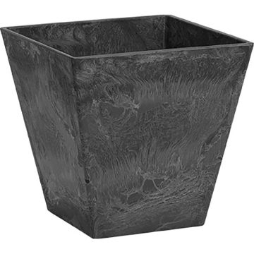 ARTSTO35108 Image 1