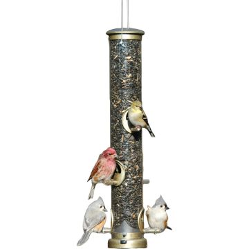 ASPECT396 Image 1