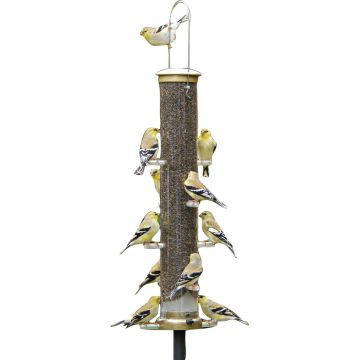 ASPECT403 Image 1