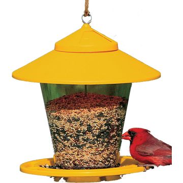 AUDUBO23952NA6231 Image 1