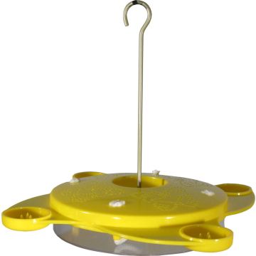AUDUBO24158 Image 1