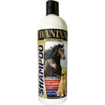 BANIXX2104 Image 1