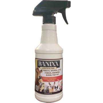BANIXX2340 Image 1
