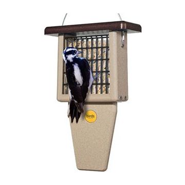 BIRSSNTP Image 1