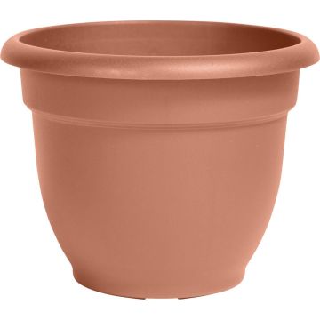 BLOEM2056116 Image 1