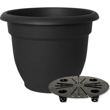 BLOEM2056910 Image 1