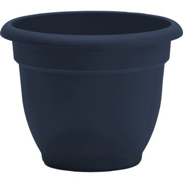 BLOEMAP0870 Image 1