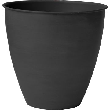 BLOEMARMP0600 Image 1