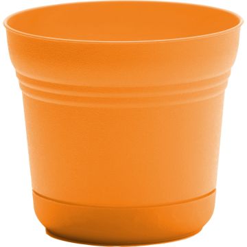 BLOEMSP0519 Image 1
