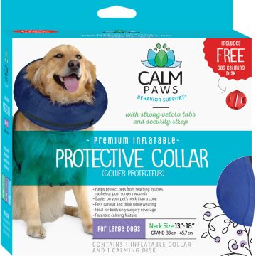 CALPAW12598 Image 1