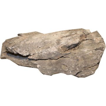 CARIBS00328 Image 1