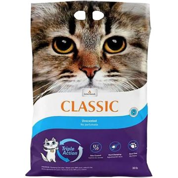 CLASSI56230000 Image 1