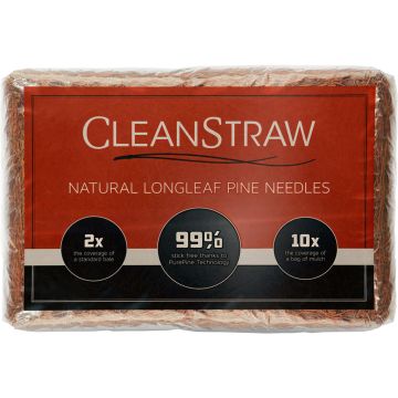 CLEANS001 Image 1