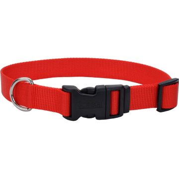 COASTA06401RED14 Image 1