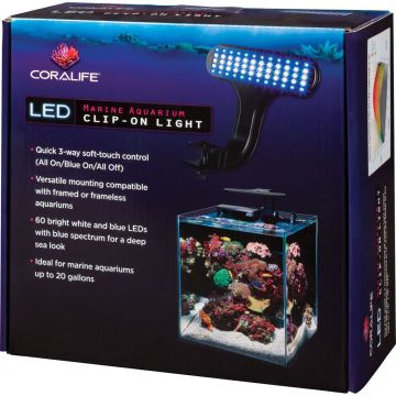 CORALI100533614 Image 1