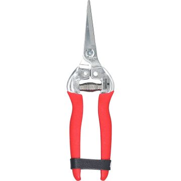 CORONAAG4930SS Image 1
