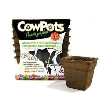 COWPOTCP412 Image 1