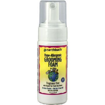 EARBTHPCH8F Image 1