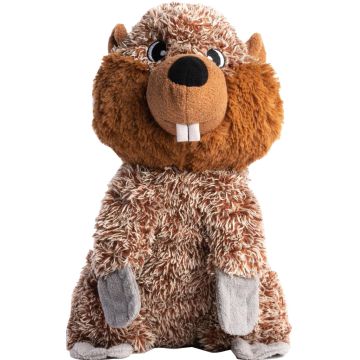 FABDOGT423 Image 1