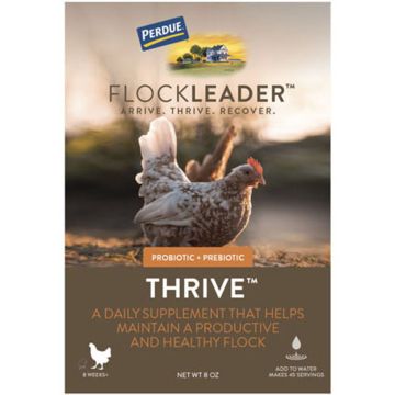 FLOCKL00181051 Image 1