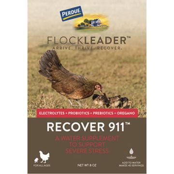 FLOCKL00181054 Image 1
