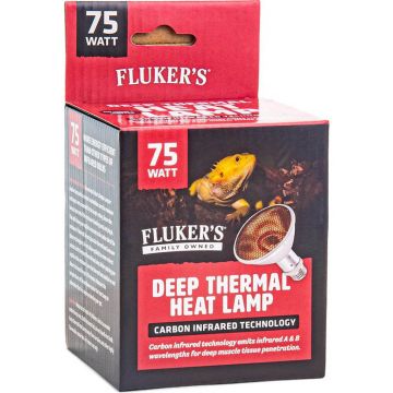 FLUS26011 Image 1