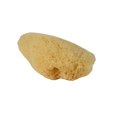 FLUS66020 Image 1