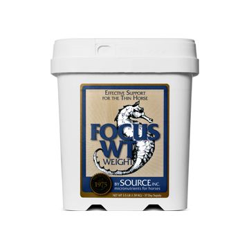 FOCUSFOCUSWT6 Image 1