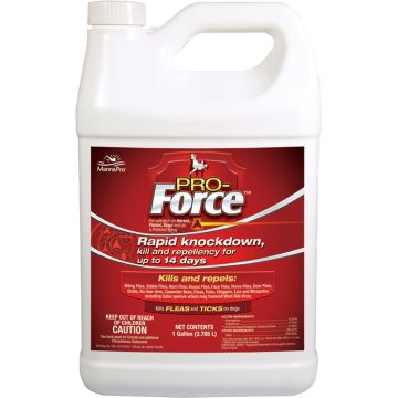 FORCE1000183 Image 1