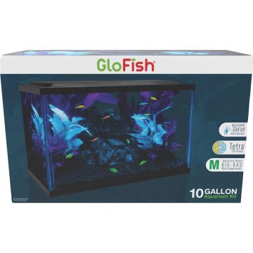 GLOFISNV33179 Image 1