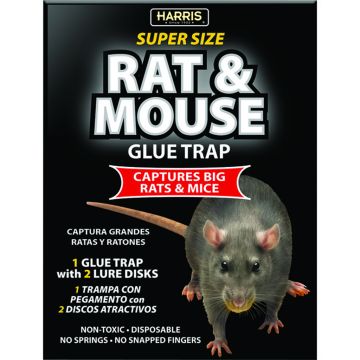 HARRISBLKRAT1 Image 1