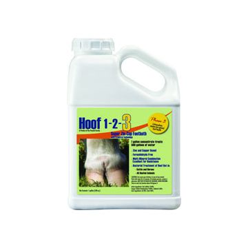 HOOFVE03900126 Image 1