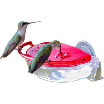 HUMMZI437 Image 1