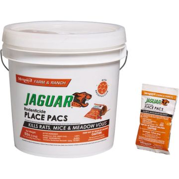 JAGUAR00831473 Image 1
