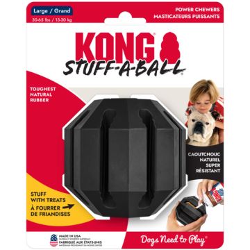 KONGES1 Image 1