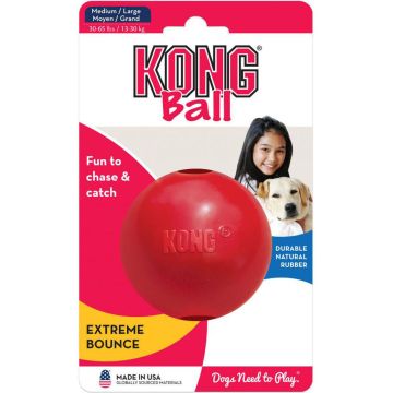 KONGKB1 Image 1