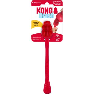 KONGKNGB2 Image 1