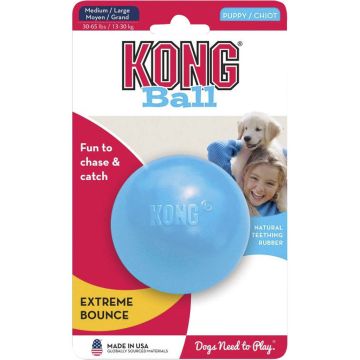 KONGKPB1 Image 1
