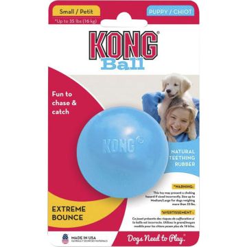 KONGKPB2 Image 1