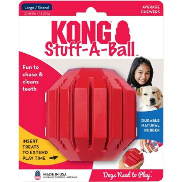 KONGKS1 Image 1