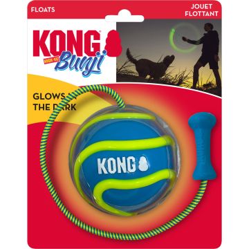 KONGPSVHZ1 Image 1