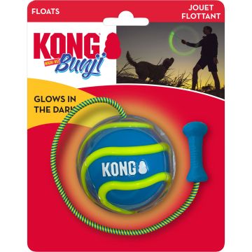KONGPSVHZ2 Image 1