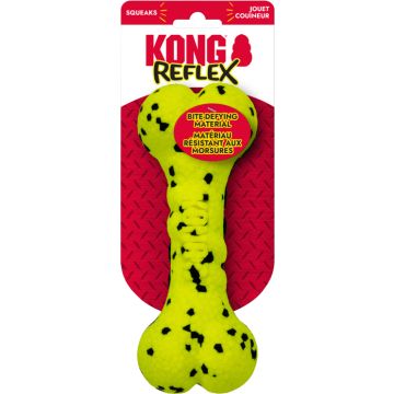 KONGRFS21 Image 1