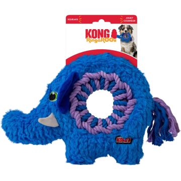 KONGRGR21 Image 1
