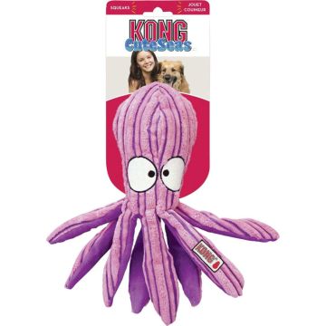 KONGRL13 Image 1